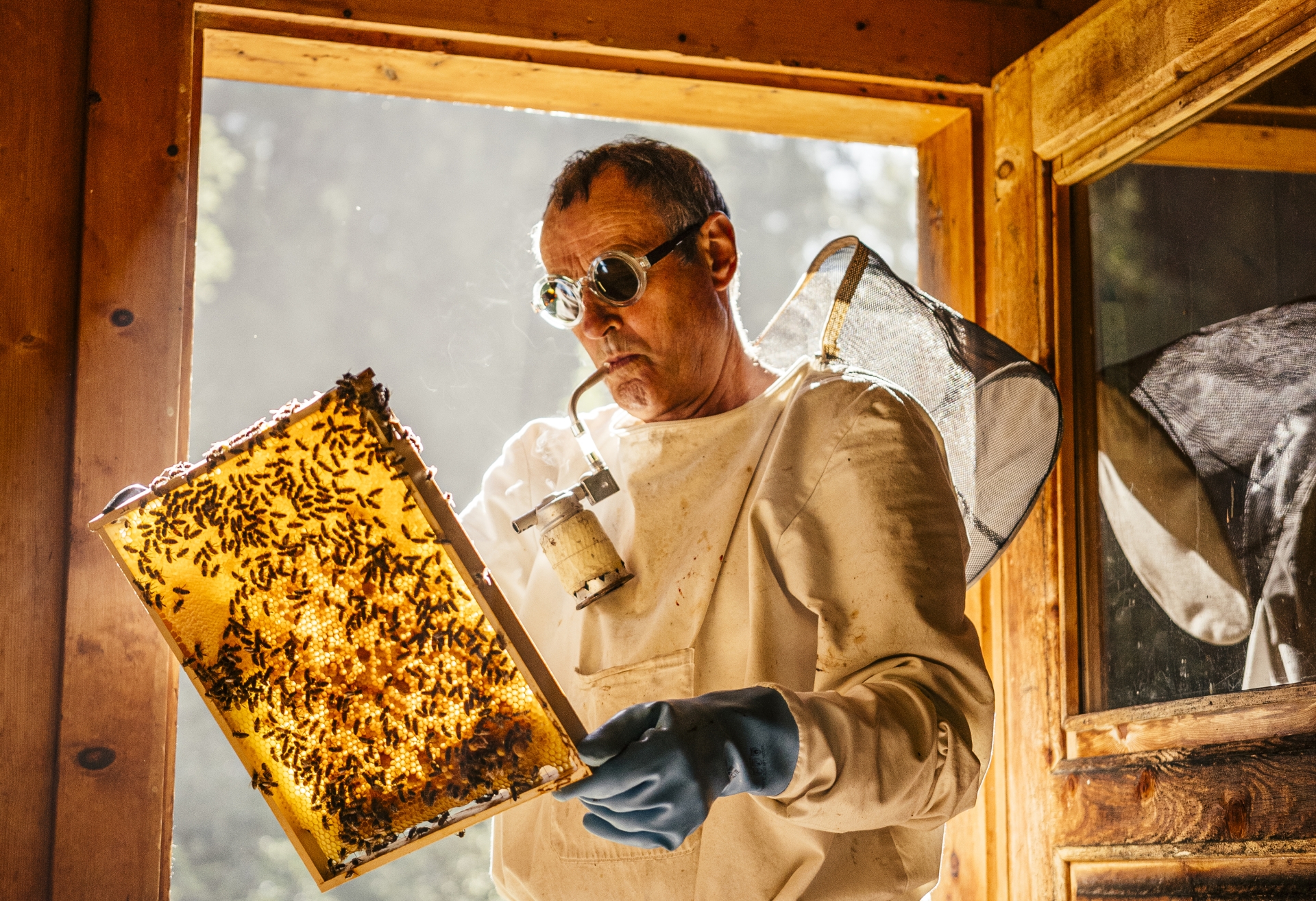 MASSADA kampanja HONEY, portret sa naočarima u toplom enterijeru